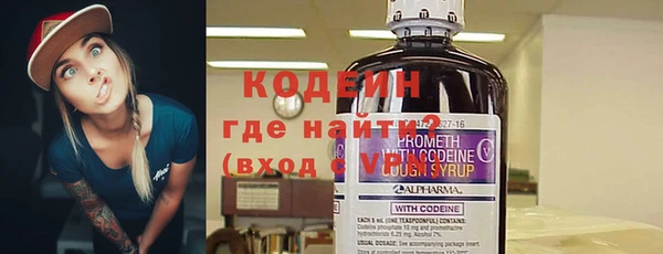 дживик Бородино