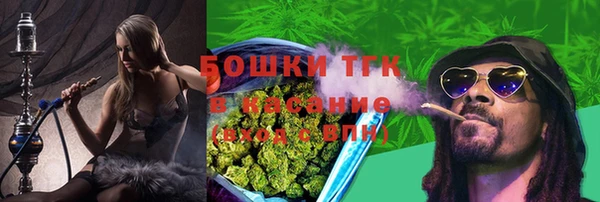 бошки Няндома