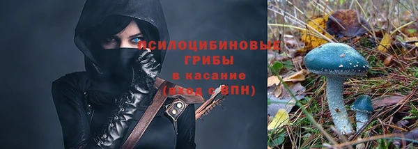 дживик Верея