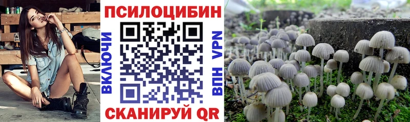 Галлюциногенные грибы Psilocybe  MEGA как зайти  Лобня 